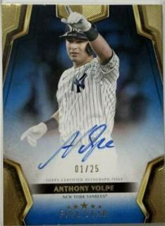 Anthony Volpe