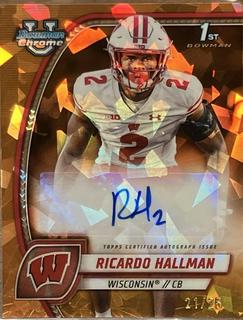 Ricardo Hallman