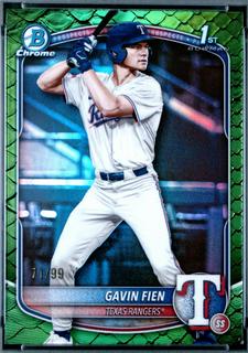 Gavin Fien