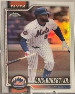 Luis Robert Jr.