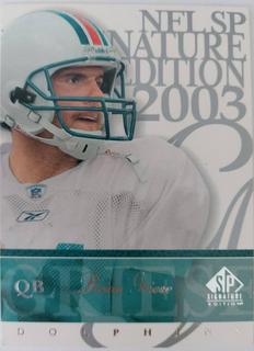Brian Griese