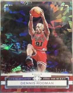 Dennis Rodman