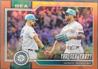 You 'Sea' That?