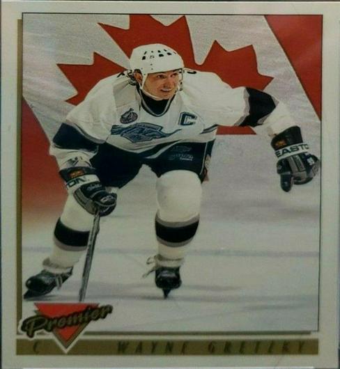 Wayne Gretzky #380 Cover Art