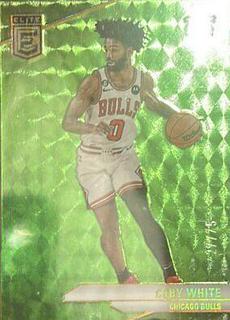 Coby White