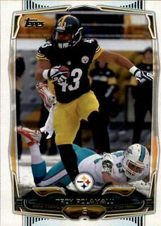 Troy Polamalu