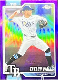 Taylor Walls