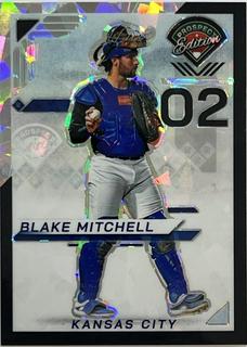 Blake Mitchell