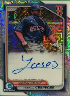 Yoeilin Cespedes