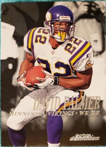David Palmer #28 Football Cards 1999 Skybox Dominion