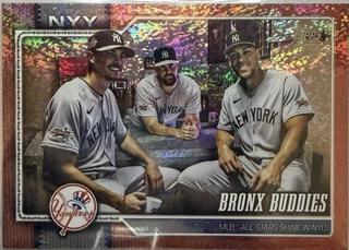 Bronx Buddies