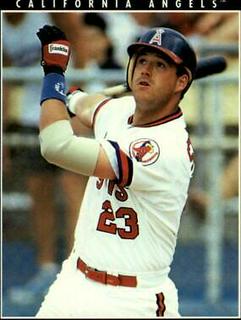 lee stevens