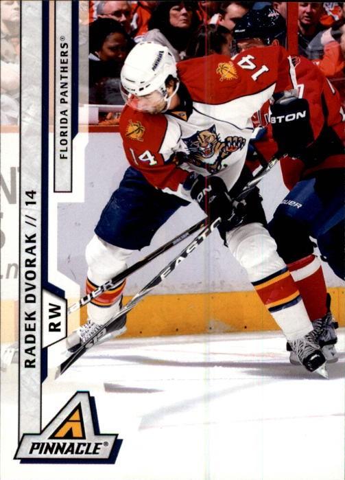 Radek Dvorak #114