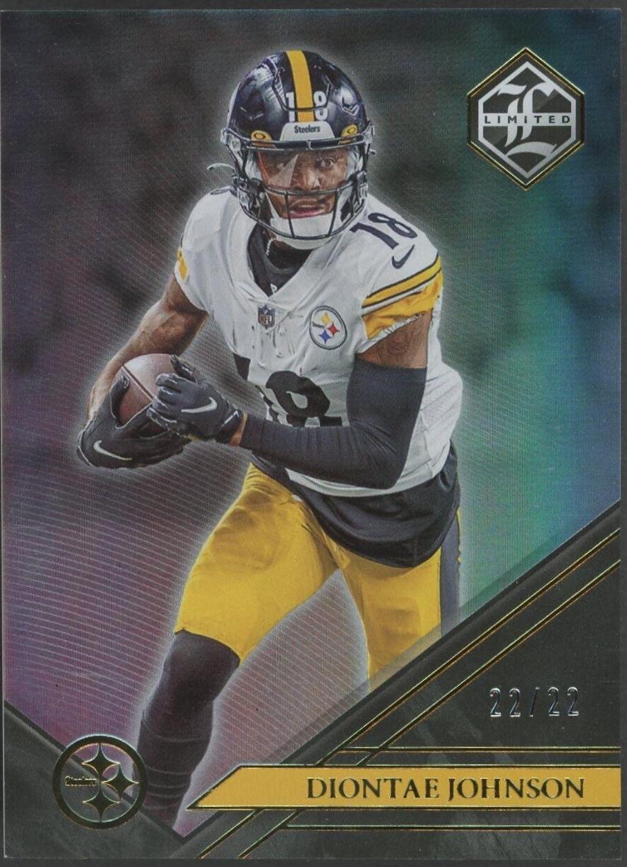 Diontae Johnson [Holographic] #97