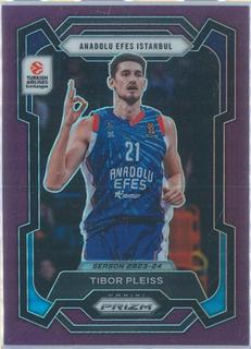 Tibor Pleiss