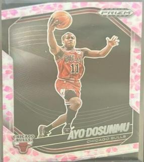 Ayo Dosunmu