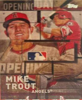 Mike Trout