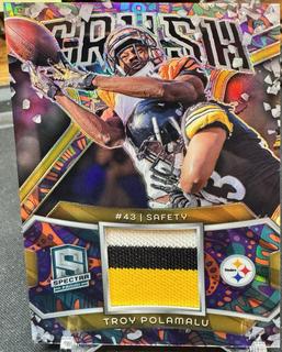 Troy Polamalu