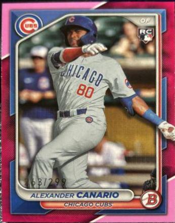 Alexander Canario [Fuchsia] #21