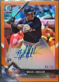 Miguel Andujar