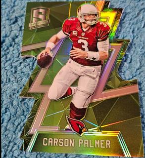 Carson Palmer