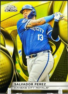 Salvador Perez