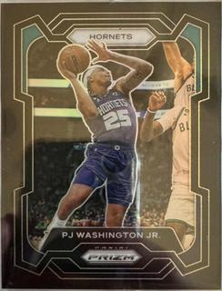 PJ Washington Jr.