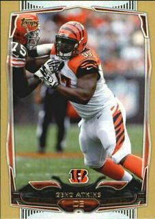 Geno Atkins