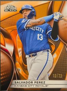 Salvador Perez