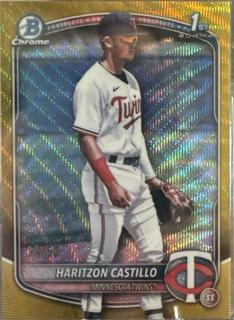 Haritzon Castillo