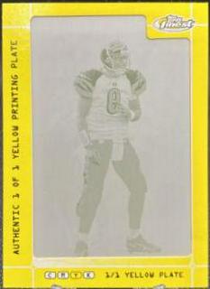 Carson Palmer