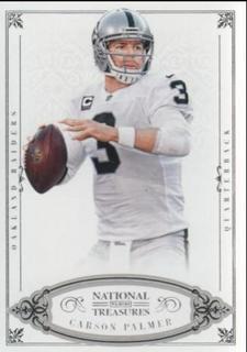 Carson Palmer