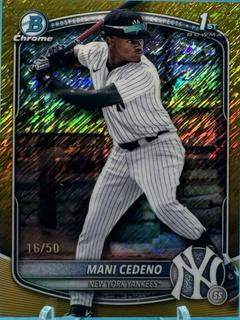 Mani Cedeno