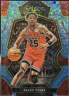 Dalen Terry