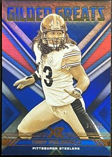 Troy Polamalu