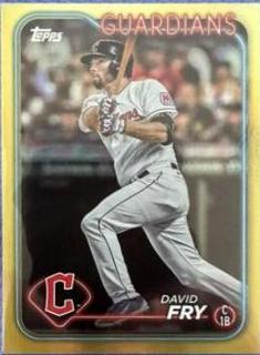 David Fry