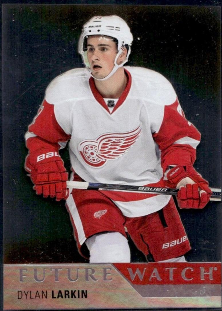 Dylan Larkin #260