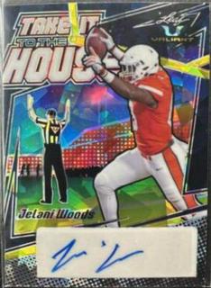 Jelani Woods