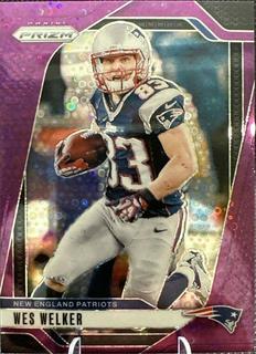 Wes Welker