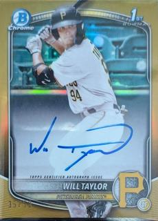 Will Taylor