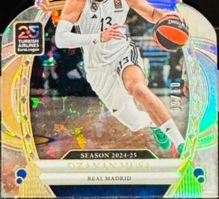 Dzanan Musa