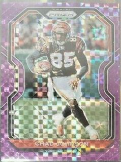 Chad Johnson