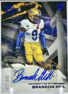 Brandon Hill
