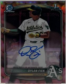 Dylan Fien