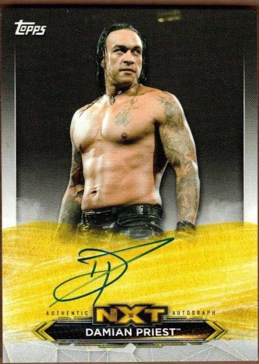 Damian Priest #A-DP Wrestling Cards 2020 Topps WWE NXT Roster Autographs