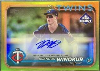 Brandon Winokur
