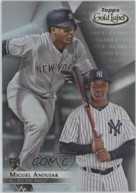 Miguel Andujar [Class 2] #75