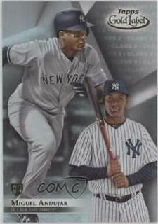 Miguel Andujar