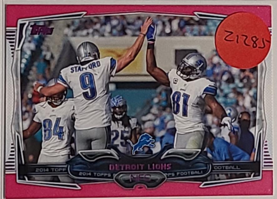 Detroit Lions [Pink] #213