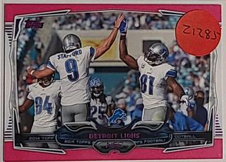 Detroit Lions